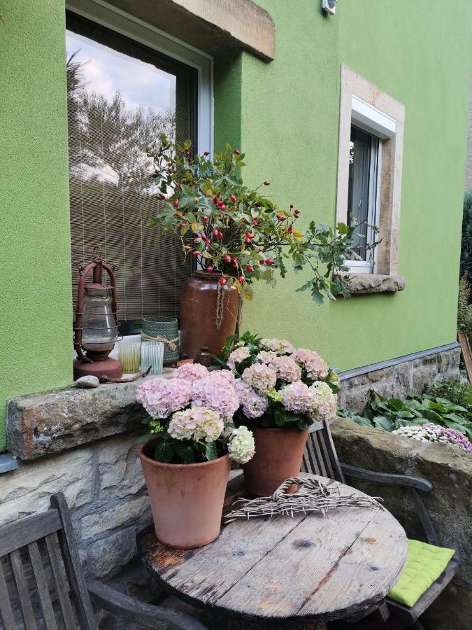 Auszeit Apartment Freital Exterior photo